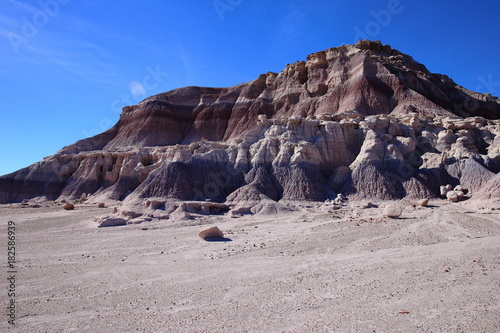 eroded rocks in petrified forest NP