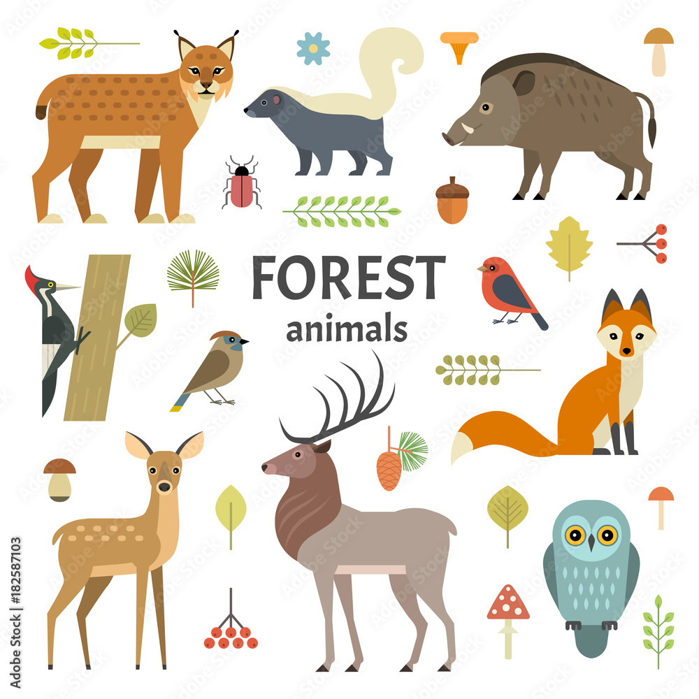 Obraz premium Vector illustration of forest animals: elk, doe, hedgehog, fox, owl, lynx, skunk, wild boar, woodpeckers and other birds, isolated on background.