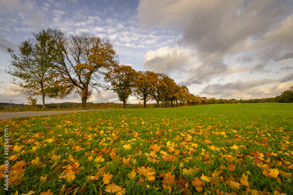 Obraz premium Meinerzhagen im Herbst