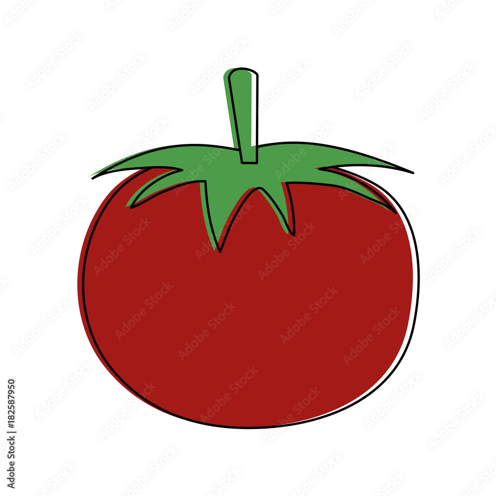 Tomato fresh vegetable icon vector illustration graphic design Tomato fresh vegetable icon vector illustration graphic design