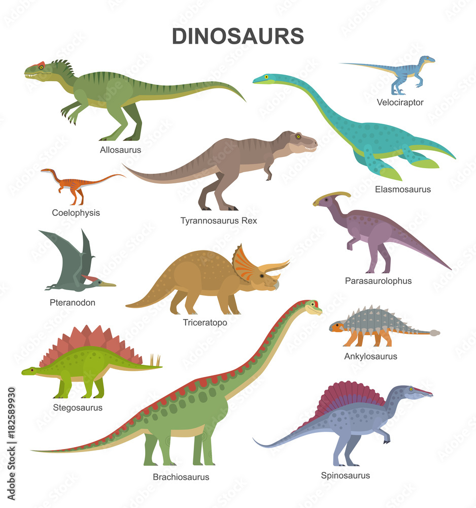 Vector Collection Of Cute Flat Dinosaurs, Including T-Rex, Stegosaurus,  Velociraptor, Pterodactyl, Brachiosaurus And Triceratop, Isolated On White.  Stock Vector | Adobe Stock