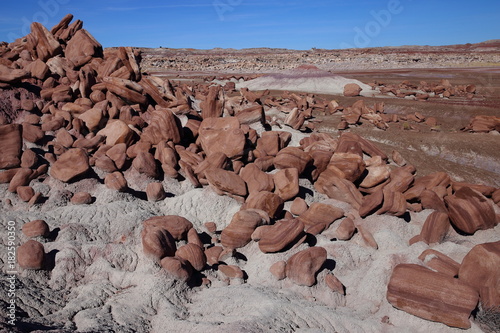 eroded rocks in petrified forest NP