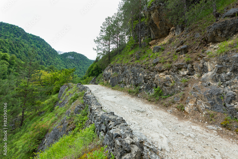  mountains and forests of Abkhazia