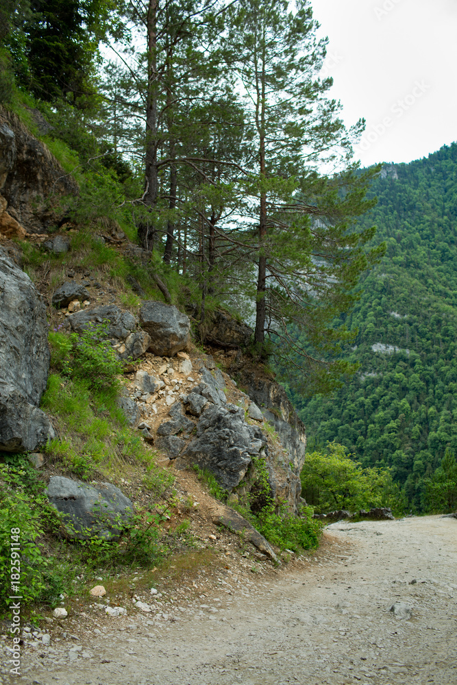 mountains and forests of Abkhazia mountains and forests of Abkhazia