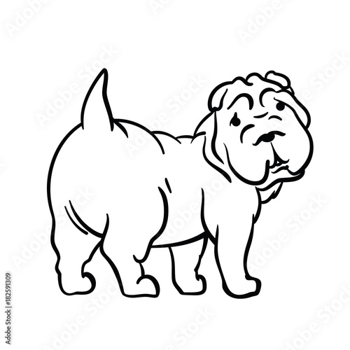 Drawing of a dog on a white background
