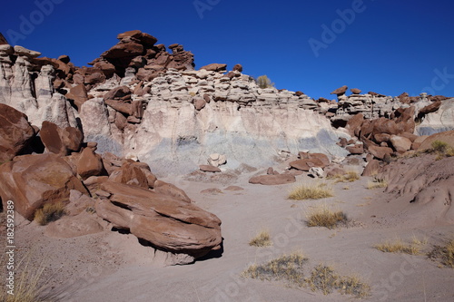 eroded rocks in petrified forest NP