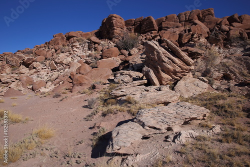 eroded rocks in petrified forest NP