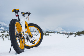 Wandcirkels Fietsen Fatbike rijden door winterlandschap  © emerald_media