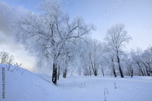 Snowy frozen landscape of sunrise on lakeside with trees   © photollurg