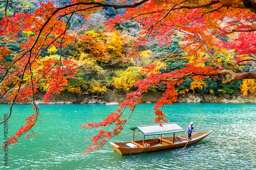 Fototapeta Boatman punting the boat at river. Arashiyama in autumn season along the river in Kyoto, Japan.