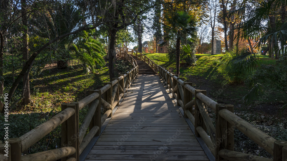 Wooden bridge in the Retiro park in the city of Madrid
