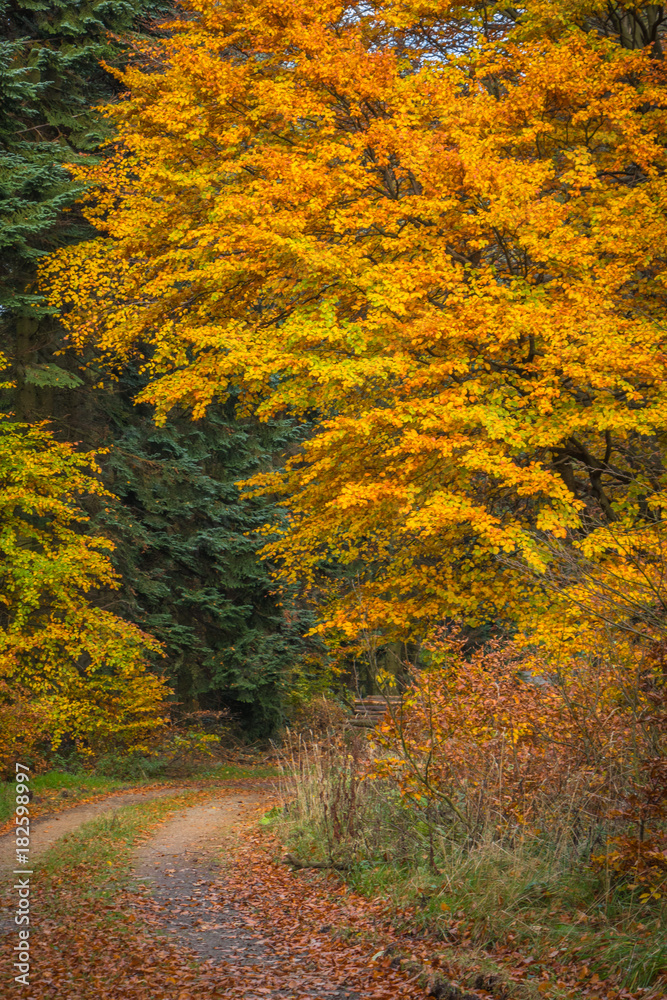 Nordhelle im Herbst Nordhelle im Herbst
