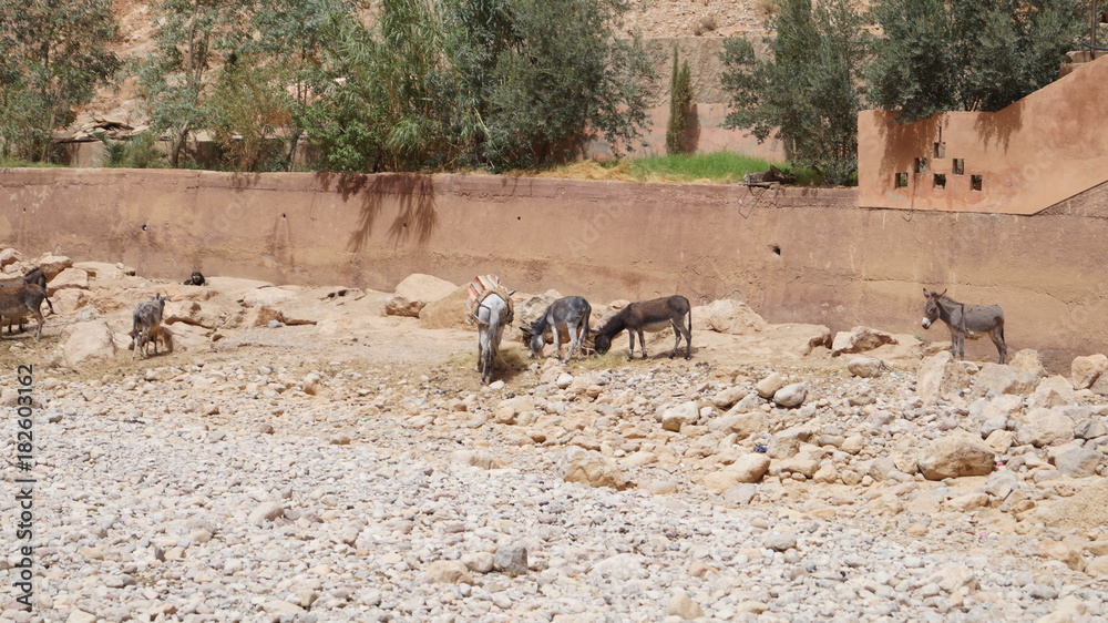 Fototapeta premium Frankreich / Italien