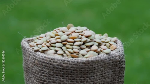 Gunny bag of lentils rotation isolated on green background. Raw lentils on a burlap rotating over green background. Vegetarian food concept. Agrigulture concept. organic and gourmet food concept photo