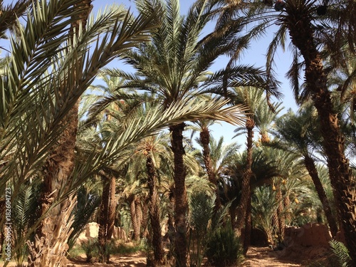 Wallpaper Mural Marokko Torontodigital.ca