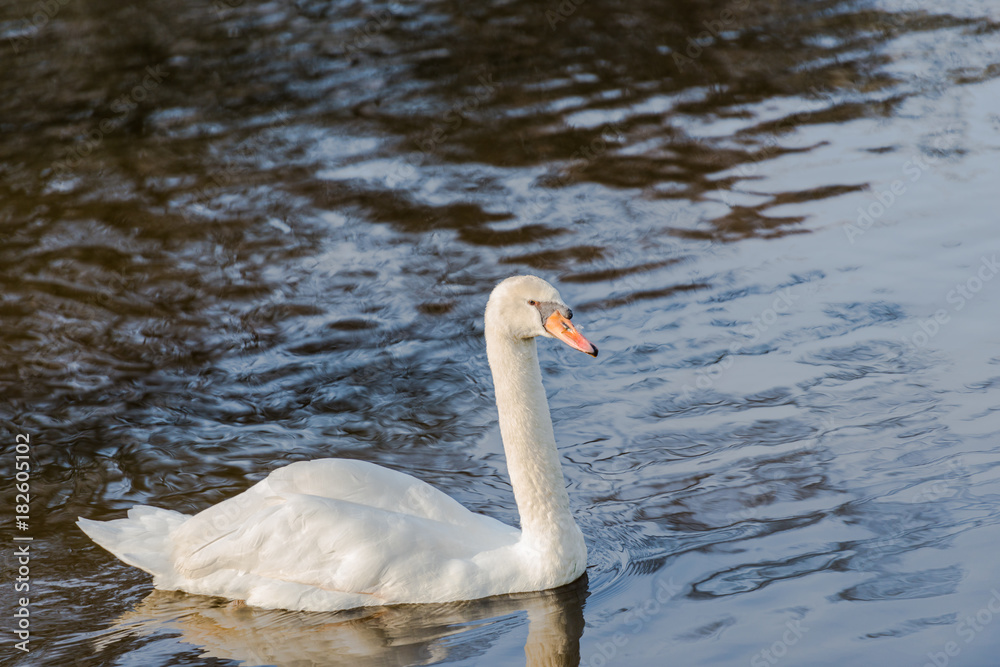 Obraz premium Winter sunrise