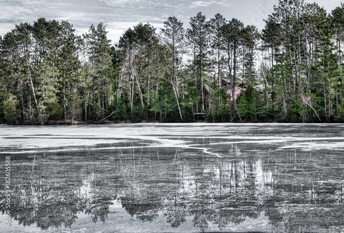 Evergreen forest reflected in a frozen lake