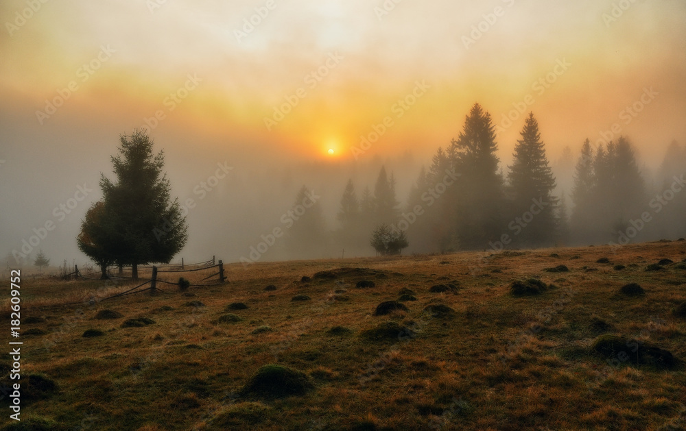 Obraz premium foggy morning. autumn dawn in the Carpathian Mountains