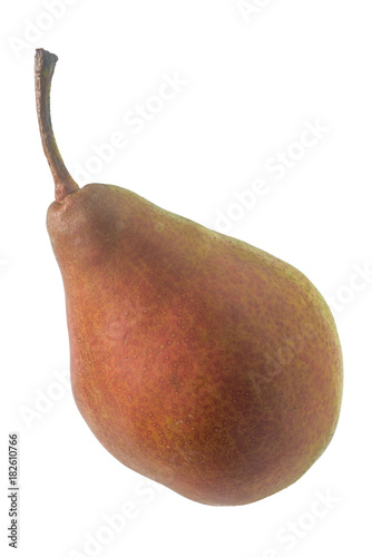 Birnensorte Gute Luise von Avranches photo