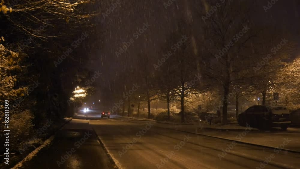 Snow-covered roads and trees Snow-covered roads and trees