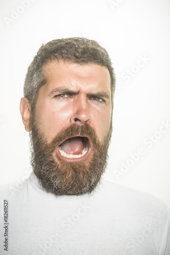 Guy or bearded man isolated on white background.