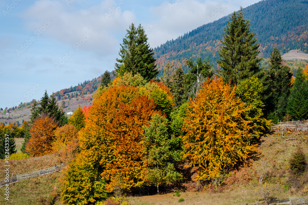 Fototapeta premium Autumn landscape