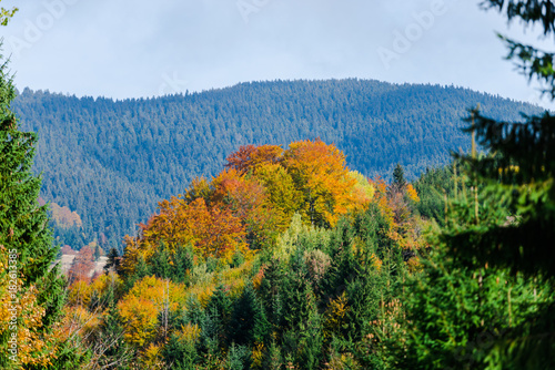 Fall season