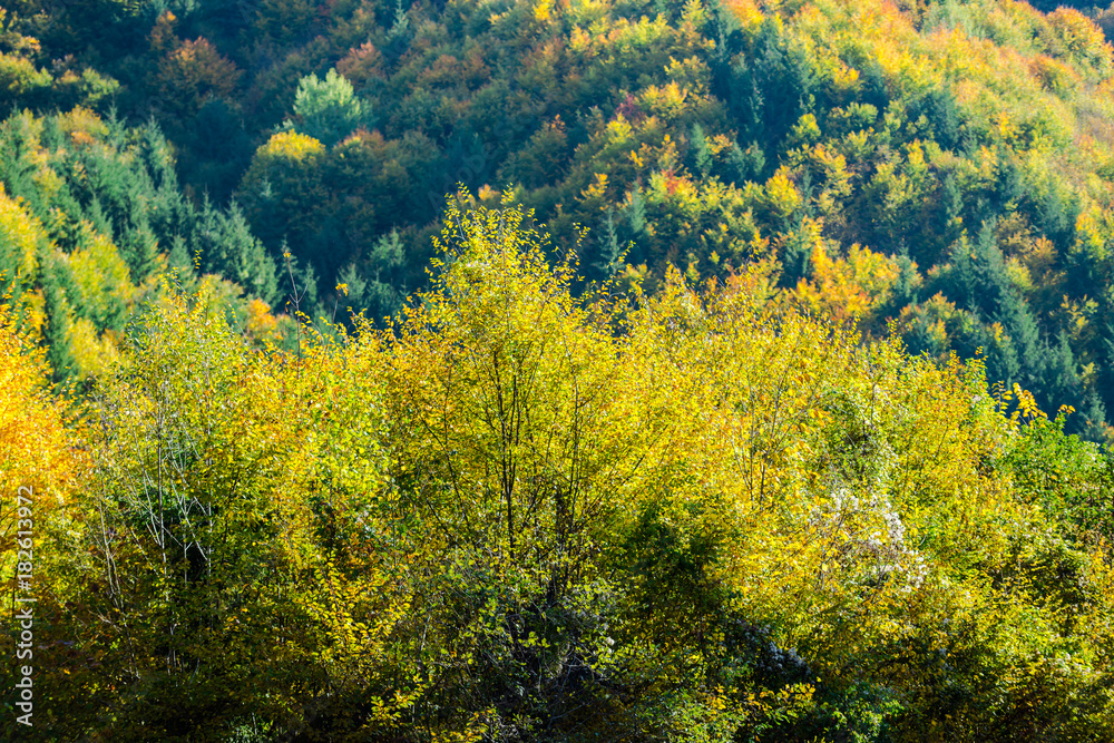 Autumn landscape Autumn landscape