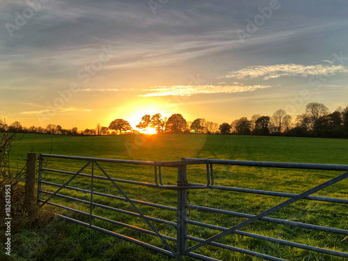 The Golden Hour