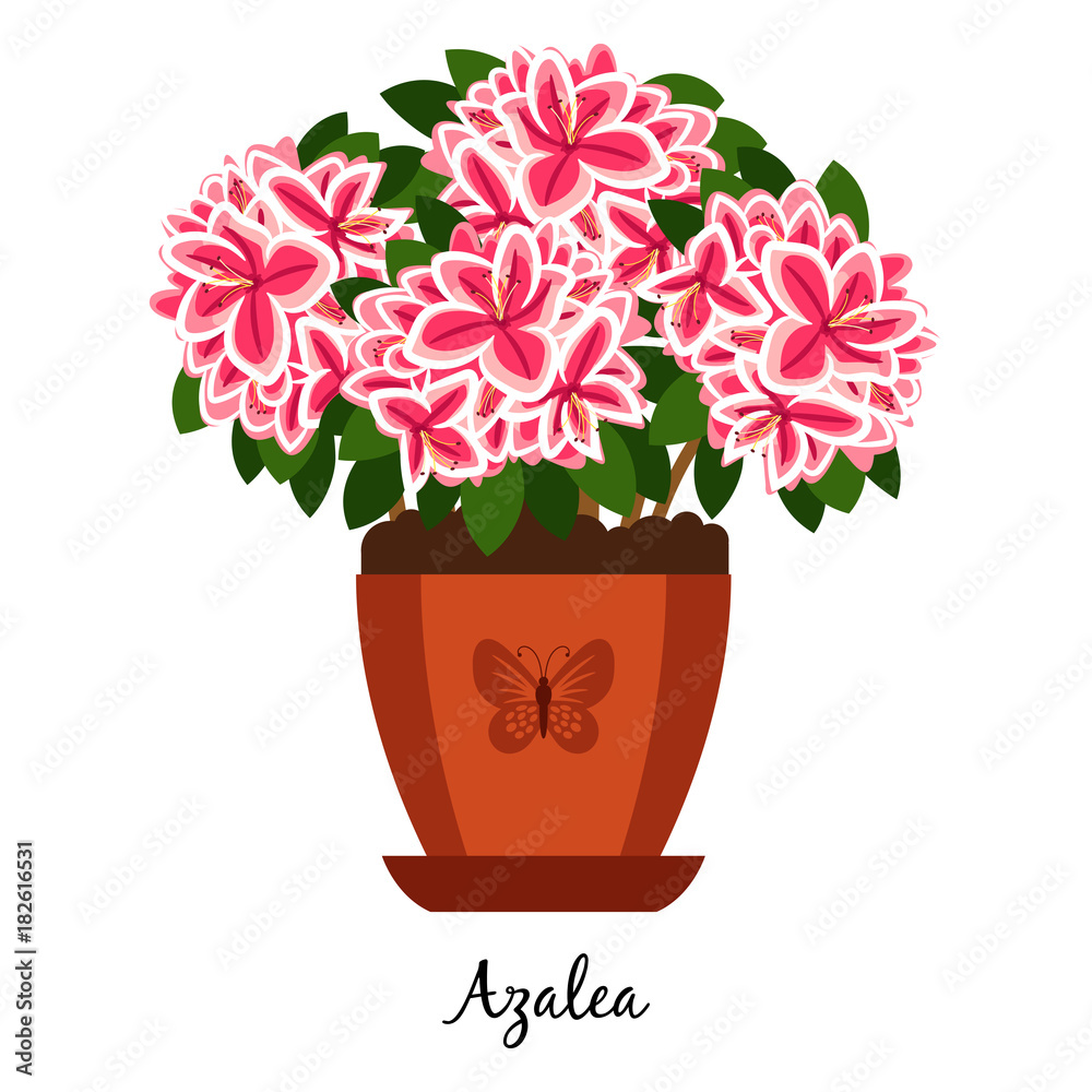 Azalea plant in pot icon Azalea plant in pot icon