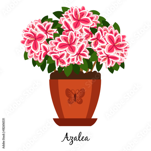 Azalea plant in pot icon