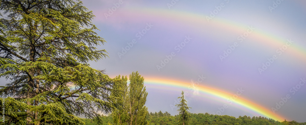 Obraz premium panorami