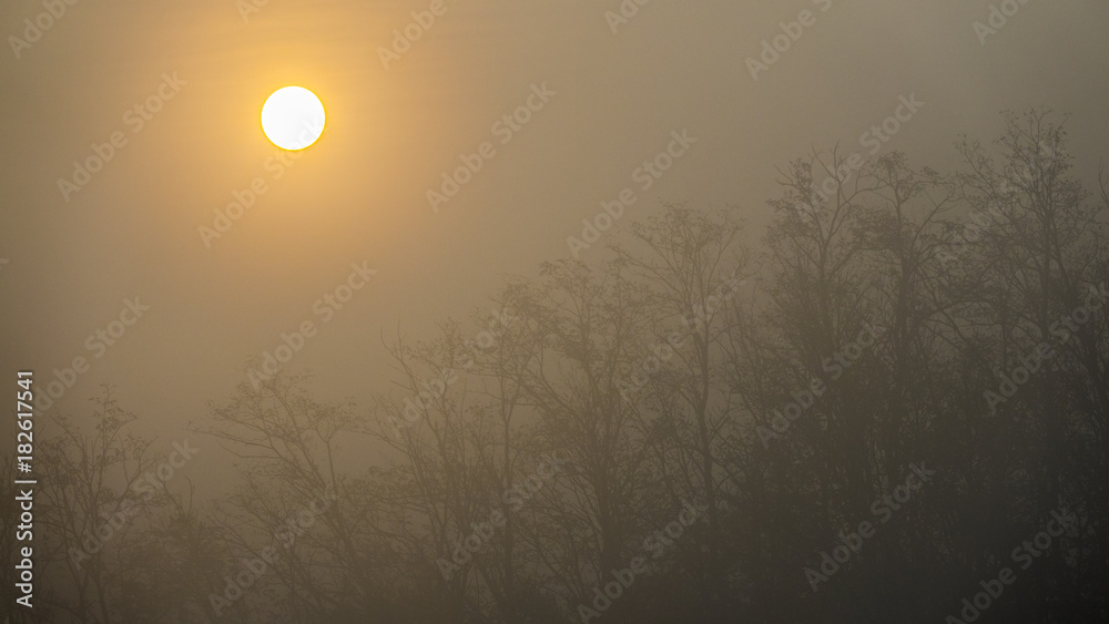 Il disco giallo del sole alza nella nebbia nebbiosa del mattino Il disco giallo del sole alza nella nebbia nebbiosa del mattino