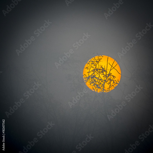 Il disco giallo del sole alza nella nebbia nebbiosa del mattino photo
