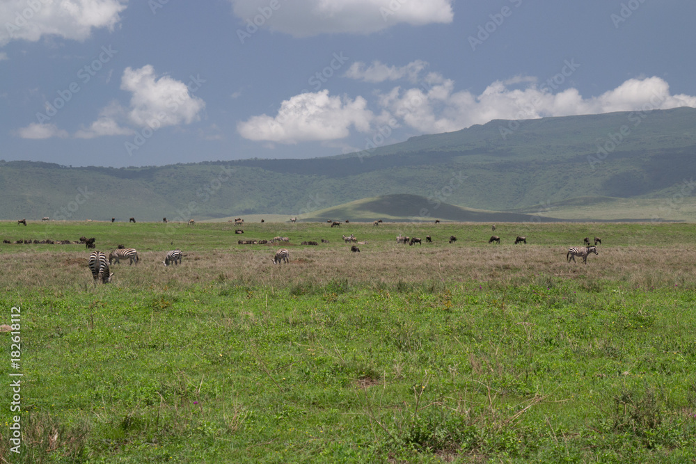 Ngorongoro Crater View