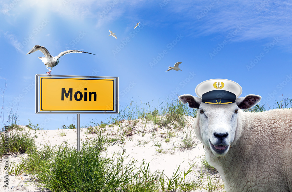 Moin Stick - Unisex Teddyweste | Edler Stick