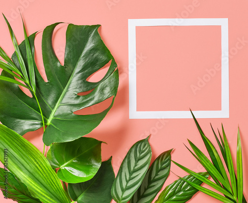 Tropical leaves and white frame
