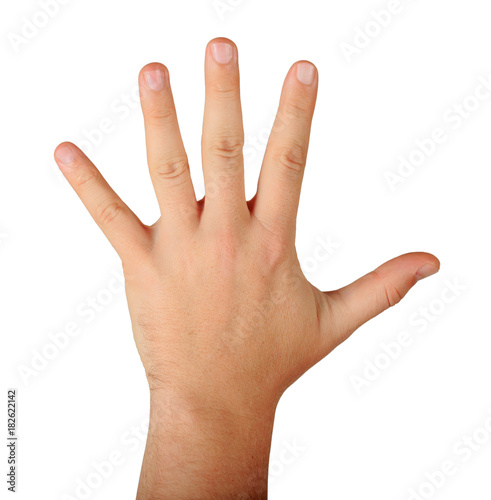 male hand with five fingers