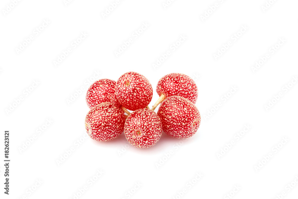Red sea buckthorn.Shepherdia.Buffaloberry.Red berry isolated. Red sea buckthorn.Shepherdia.Buffaloberry.Red berry isolated.