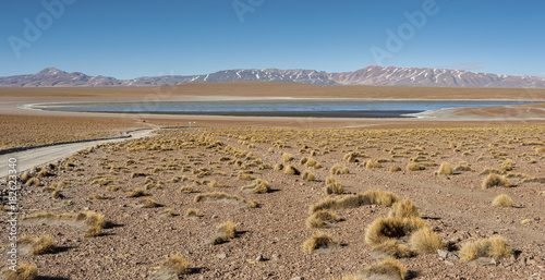 Laguna Kollpa Kkota (Collpa Laguna), Sud Lípez Province, Potosí Department, Bolivia 