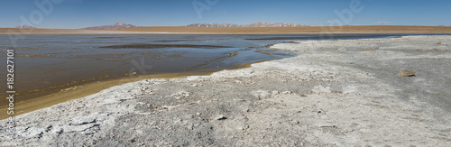 Laguna Kollpa Kkota (Collpa Laguna), Sud Lípez Province, Potosí Department, Bolivia  photo