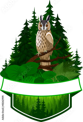 vector woodland emblem with owl