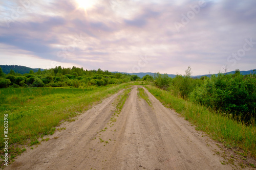 Summer landscape