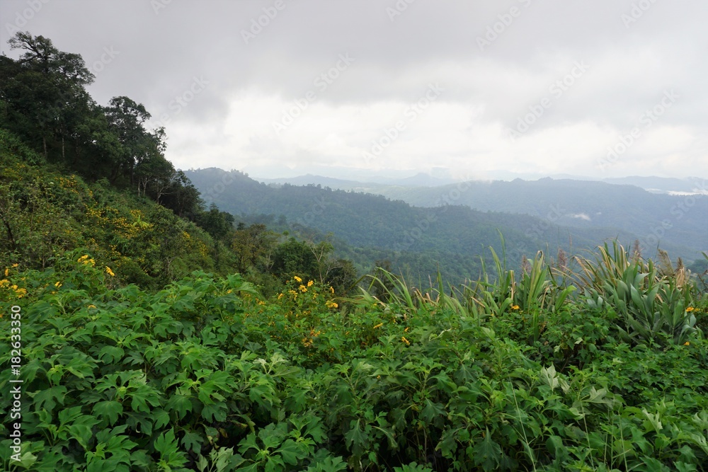 view from a scenic mountain road in jungle in Thailand