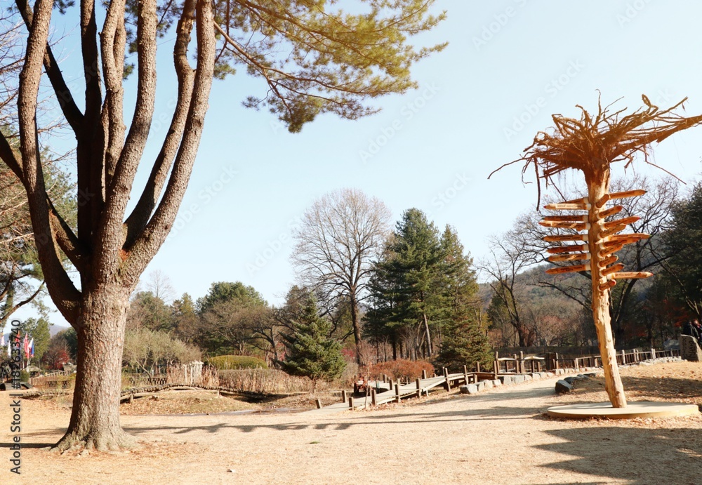 Obraz premium Spring in South Korea