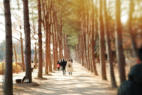 Photography Spring in South Korea