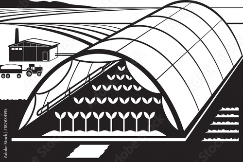Farm with greenhouse for fruits and vegetables - vector illustration