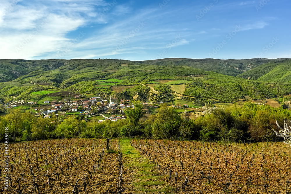 Grape yards, a village and beautiful country landscape under blu