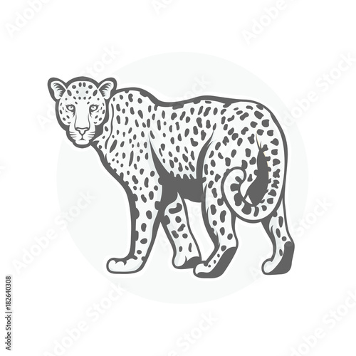 Leopard mascot logo illustration vector