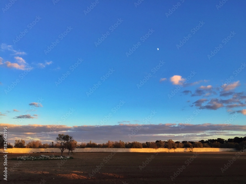 Fototapeta premium Paesaggio salentino